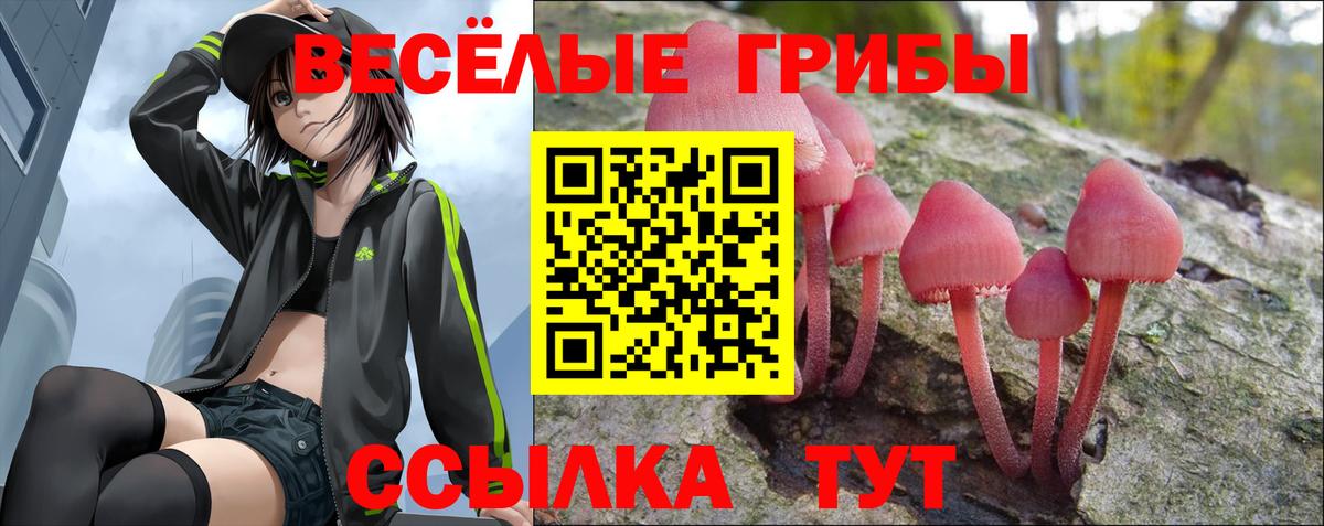 Таганрог  Псилоцибиновые грибы MAGIC MUSHROOMS  Вход с VPN  Галлюциногенные грибы Magic Shrooms 